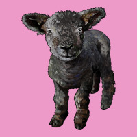 Southdown Baby Sheep Urban Hoodie | Teevron