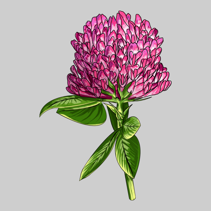 Red Clover Illustrations Premium Tee by LillyAllenDesigns | Teevron
