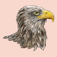 American White Sea Eagle Head Urban Hoodie | Teevron