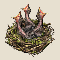 Bird Nest With Baby Birds Urban Hoodie | Teevron