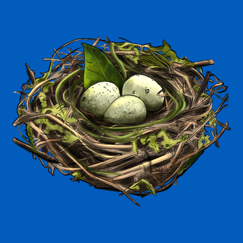 Bird Nest With Eggs Urban Hoodie by LillyAllenDesigns | Teevron