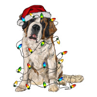 saint bernard with christmas lights | Teevron