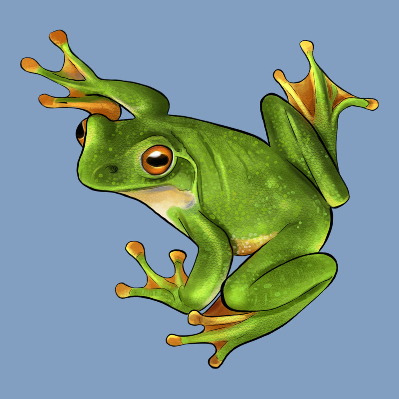 White Lipped Tree Frog Illustrations Urban Hoodie by LillyAllenDesigns | Teevron