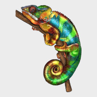 Chameleon Lizard Illustrations Urban Hoodie | Teevron