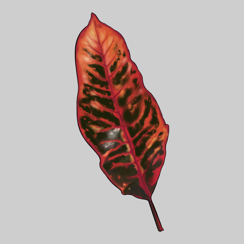 Croton Leaf Premium Tee by LillyAllenDesigns | Teevron