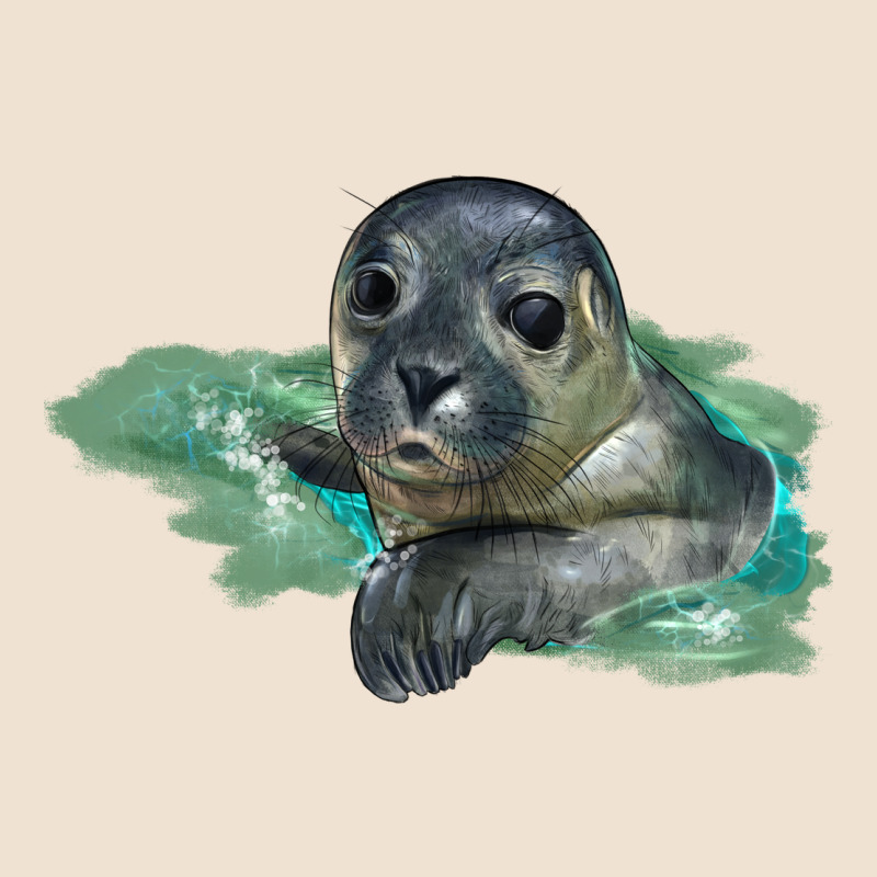 Sea Seal Face Illustrations Urban Hoodie by LillyAllenDesigns | Teevron
