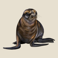 Sea Lion Illustrations Urban Hoodie | Teevron