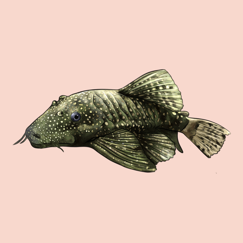 Bristlenose Placo Urban Hoodie by LillyAllenDesigns | Teevron