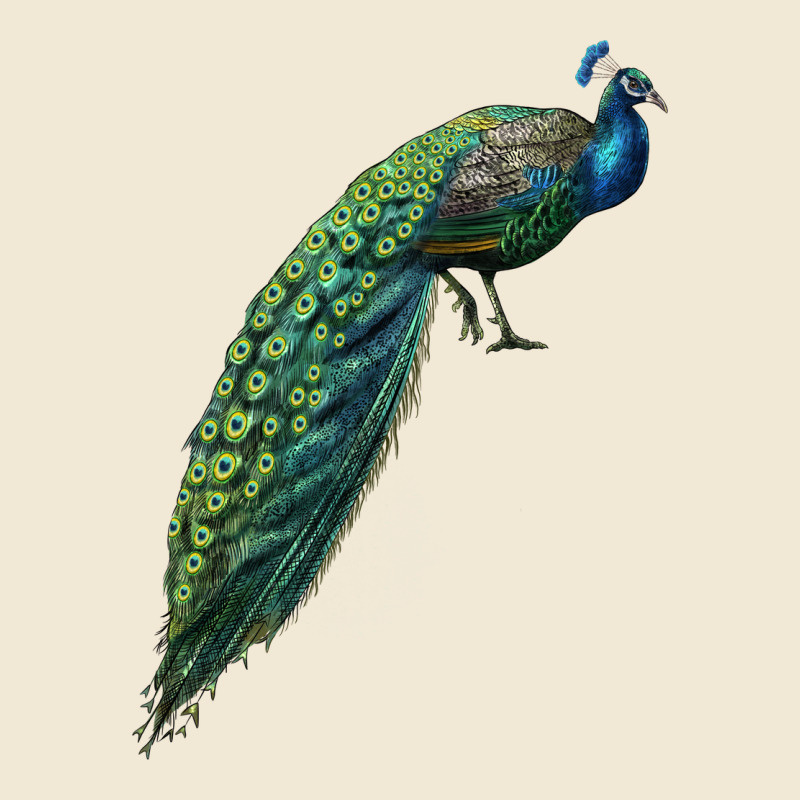 Peacock Premium Tee by LillyAllenDesigns | Teevron