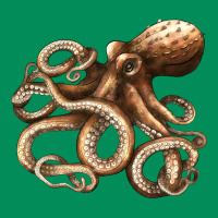 Octopus Urban Hoodie | Teevron