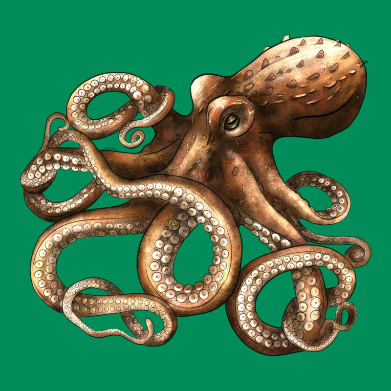 Octopus Urban Hoodie by LillyAllenDesigns | Teevron