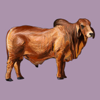 Brahman Bull Heavyweight Hoodie | Teevron