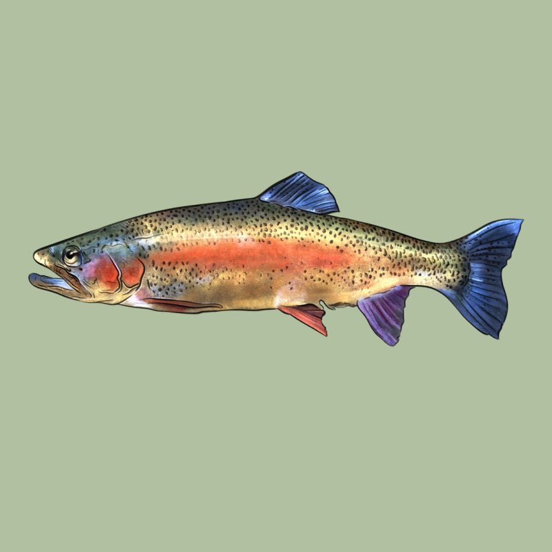 Rainbow Trout Urban Hoodie by LillyAllenDesigns | Teevron