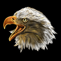 Bald Head Eagle Premium Tee | Teevron