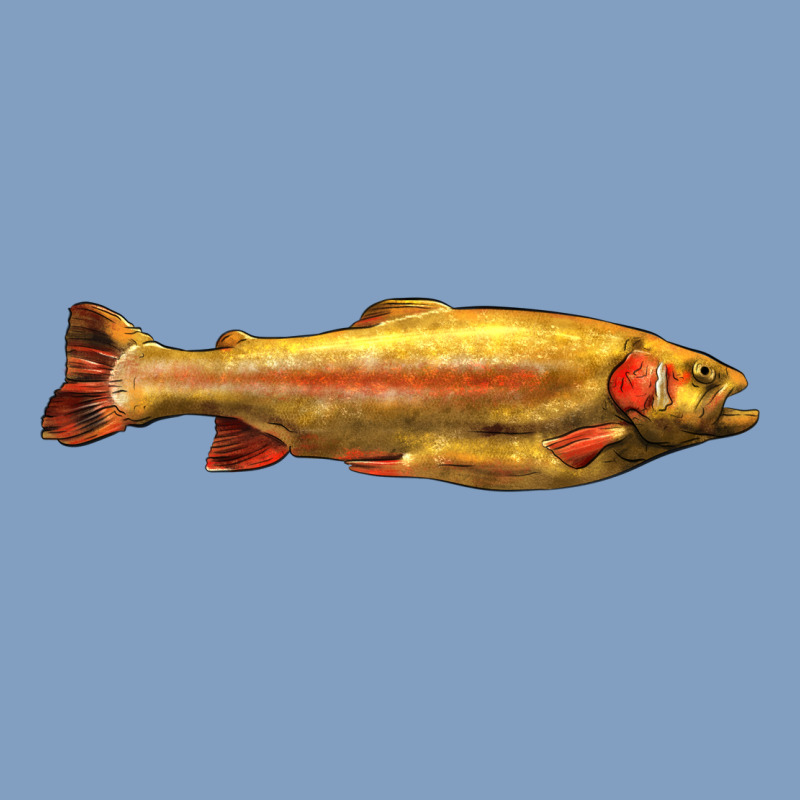Golden Trout West Virginia Urban Hoodie by LillyAllenDesigns | Teevron