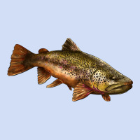 Brown Trout Urban Hoodie | Teevron