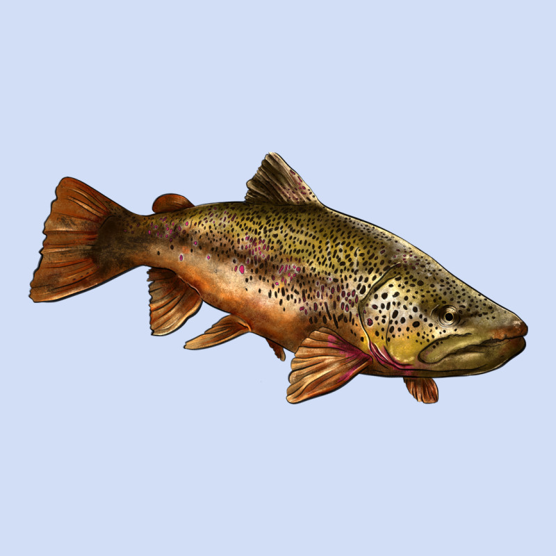 Brown Trout Urban Hoodie by LillyAllenDesigns | Teevron