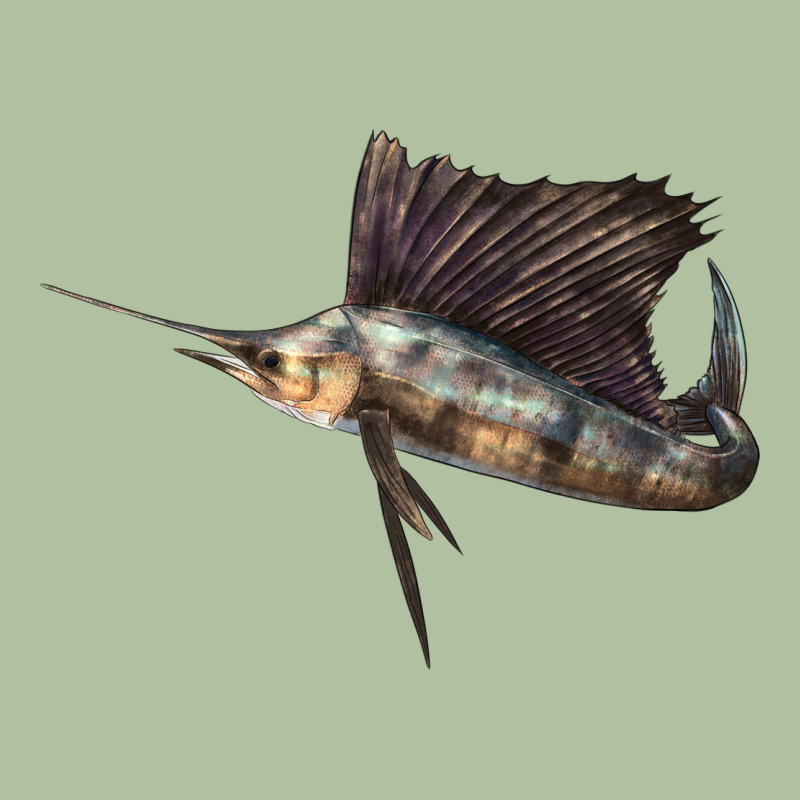 Atlantic Sailfish Illustrations Urban Hoodie by LillyAllenDesigns | Teevron
