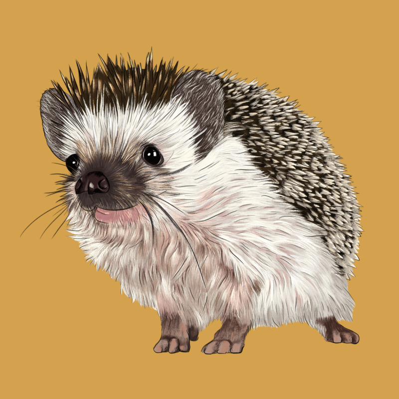 Hedgehog Illustrations Urban Hoodie by LillyAllenDesigns | Teevron