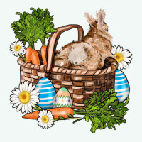 Easter Bunny In Basket Wıth Carrot And Eggs Premium Hoodie | Teevron