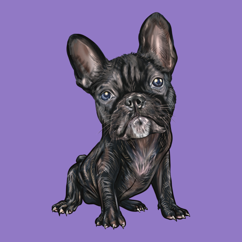 French Bulldog Urban Hoodie by BarkalooDesign | Teevron