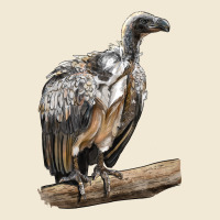 Vulture Bird Premium Tee | Teevron