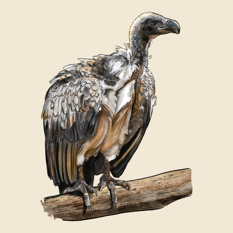 Vulture Bird Premium Tee by LillyAllenDesigns | Teevron