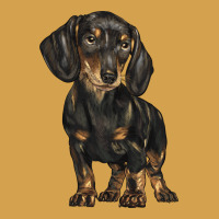 Dachshund Urban Hoodie | Teevron