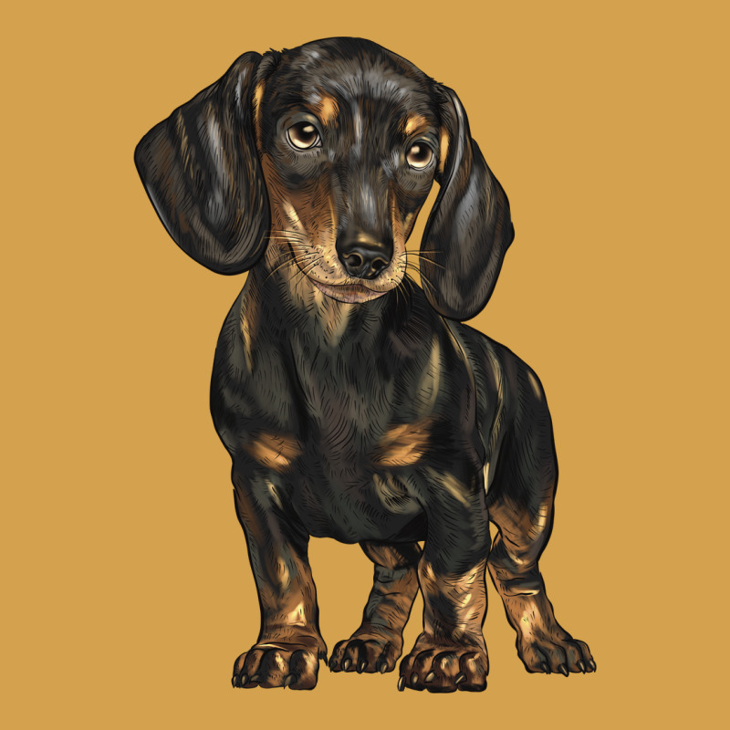 Dachshund Urban Hoodie by BarkalooDesign | Teevron