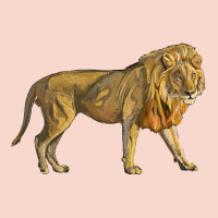 Lion Urban Hoodie | Teevron