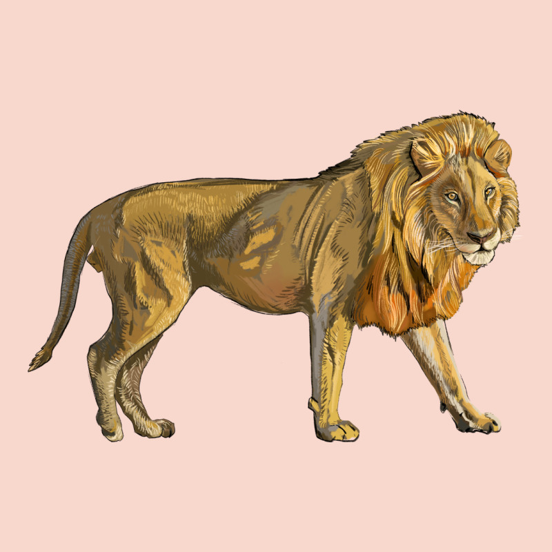 Lion Urban Hoodie by LillyAllenDesigns | Teevron