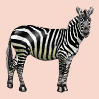 Zebra Urban Hoodie | Teevron