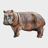 Hippopotamus Urban Hoodie | Teevron