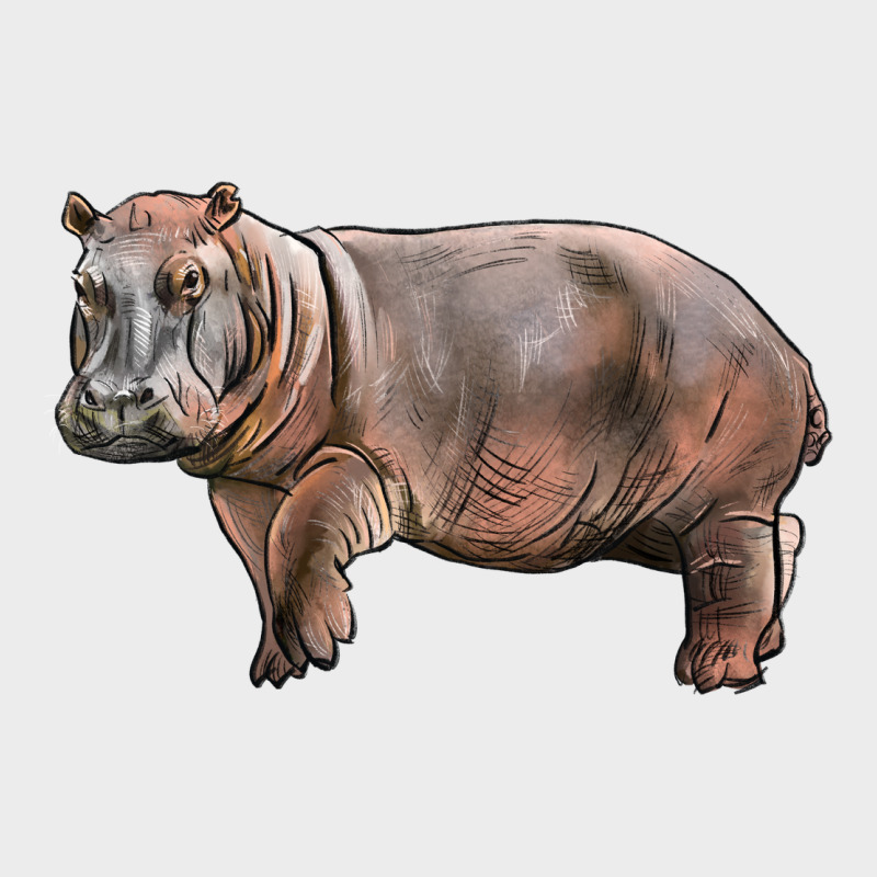 Hippopotamus Urban Hoodie by LillyAllenDesigns | Teevron