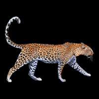 Leopard Urban Hoodie | Teevron