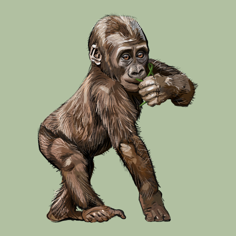 Baby Gorilla Urban Hoodie by LillyAllenDesigns | Teevron