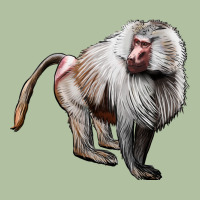 Baboon Urban Hoodie | Teevron