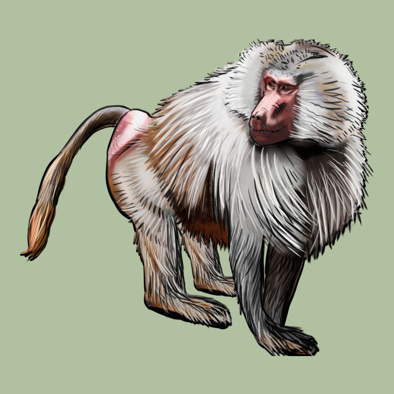 Baboon Urban Hoodie by LillyAllenDesigns | Teevron