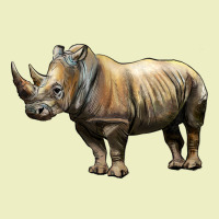 Rhino Illustrations Urban Hoodie | Teevron