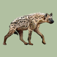 Hyena Urban Hoodie | Teevron