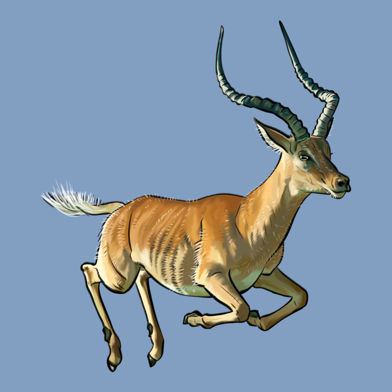 Impala Antelope Illustrations Urban Hoodie by LillyAllenDesigns | Teevron