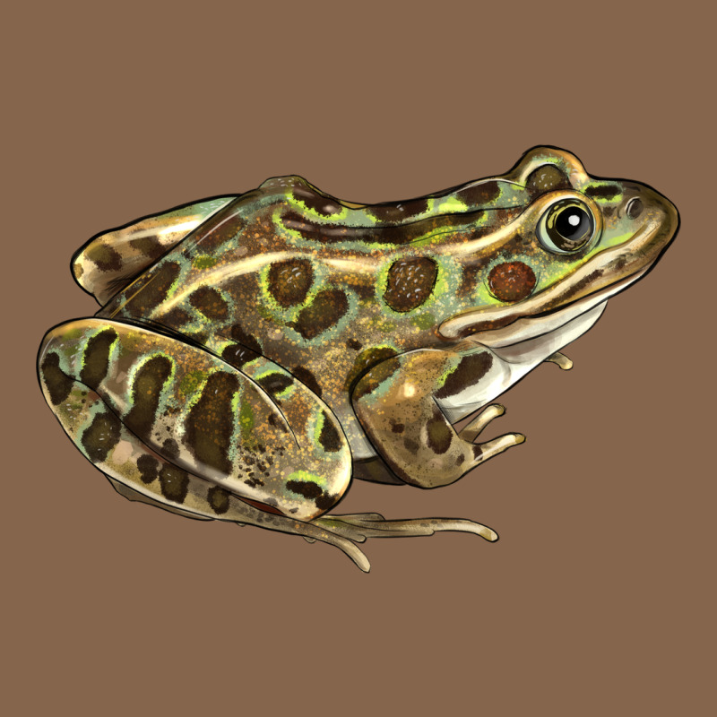 Northern Leopard Frog Premium Tee by LillyAllenDesigns | Teevron
