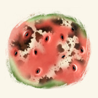 Watermelon Cowhide Patch3 Premium Hoodie | Teevron