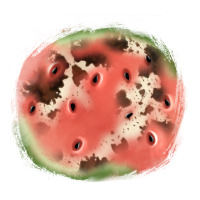 watermelon cowhide patch3 | Teevron