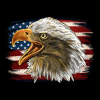 American Flag Eagle Urban Hoodie | Teevron