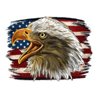 American Flag Eagle | Teevron