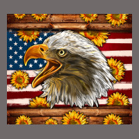 American Flag Eagle Urban Hoodie | Teevron
