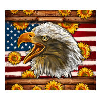 American Flag Eagle | Teevron