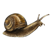 Snail Premium Tee | Teevron