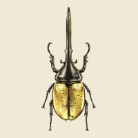 Hercules Beetle Premium Tee | Teevron